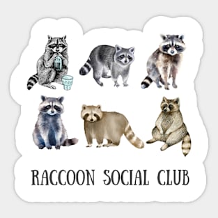 Funny Raccoon Social Club Sticker